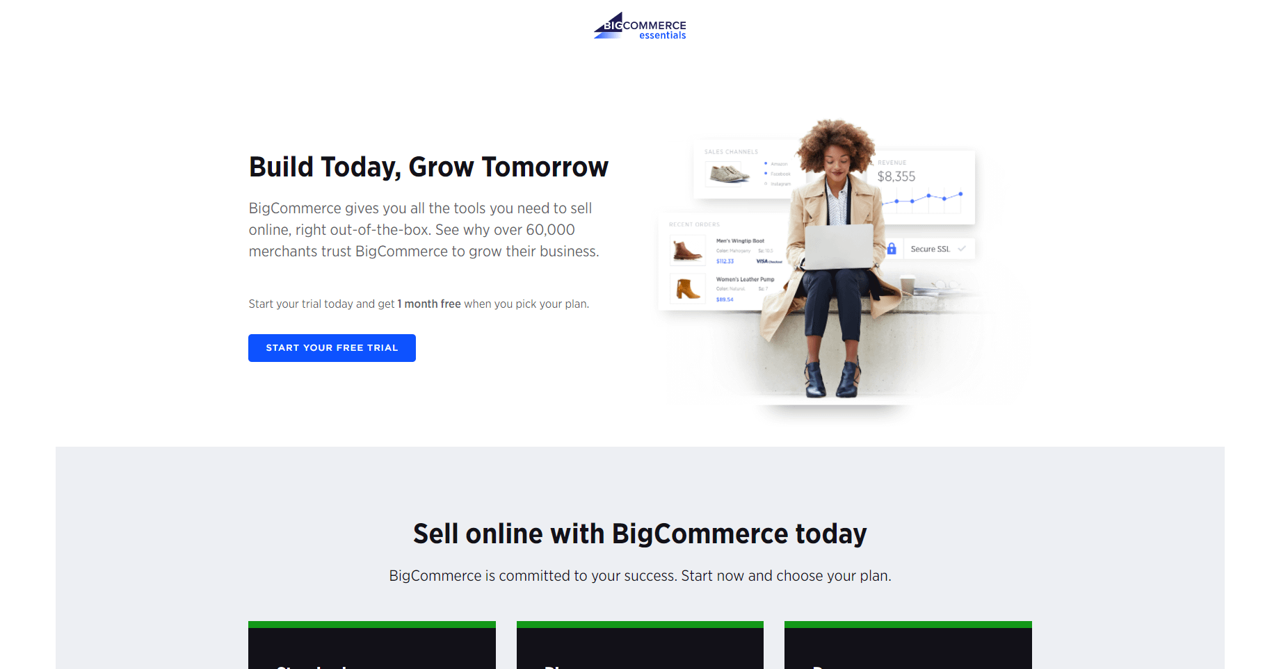 eCommerce software and marketing Big Commerce screenshot